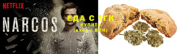 стафф Покачи
