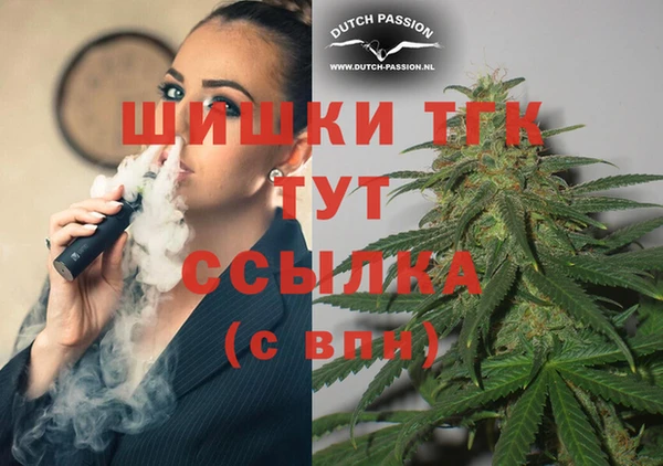 СК Абинск