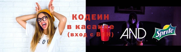 стафф Покачи
