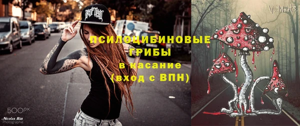 СК Абинск
