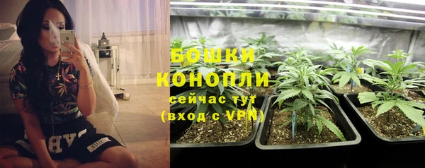каннабис Болотное