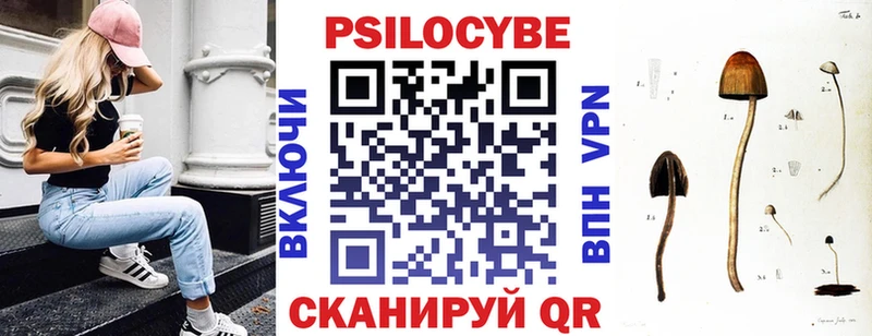 Галлюциногенные грибы Cubensis  Холм 