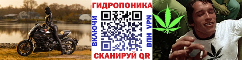 Бошки Шишки индика Холм